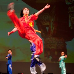 2013 Chinese Kungfu