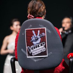 2013 Voice of Mississauga