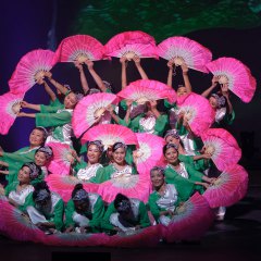 2013 Jasmine