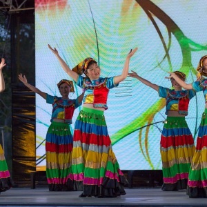 2015-gs-carnival-yizu