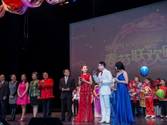 newyear-2015-10