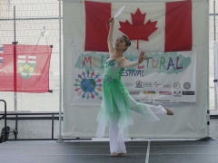 multicultural--festival-8th-02