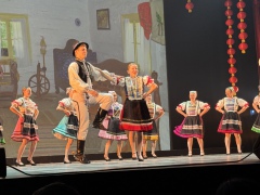 15551c90f6cf0178130ab5e9d7b42249