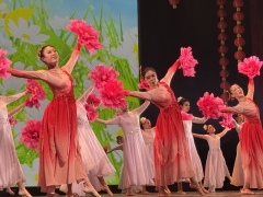 2d6d17fa0b46bb30fc1c2c4498b9207b