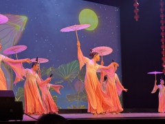 5ed362fc72901ee541045c7f84706dc1