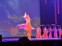 68e66feaf7e1e8174b267d4995c2012d