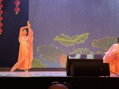 80be20a6c33e166b6860db9d94390025