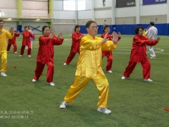 pan-am-taiji-25